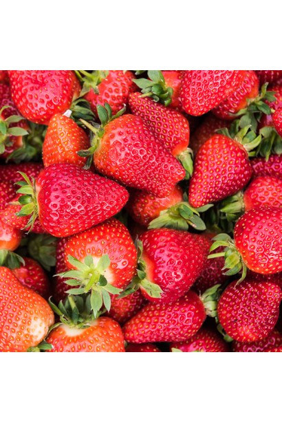 Полуниця Мурано 